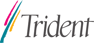 Trident Semiconductor